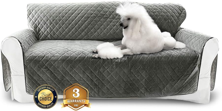 velvet sofa with dogs