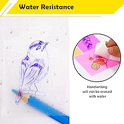 3x4 Inch Transparent Sticky Notes, 350 Sheets Large