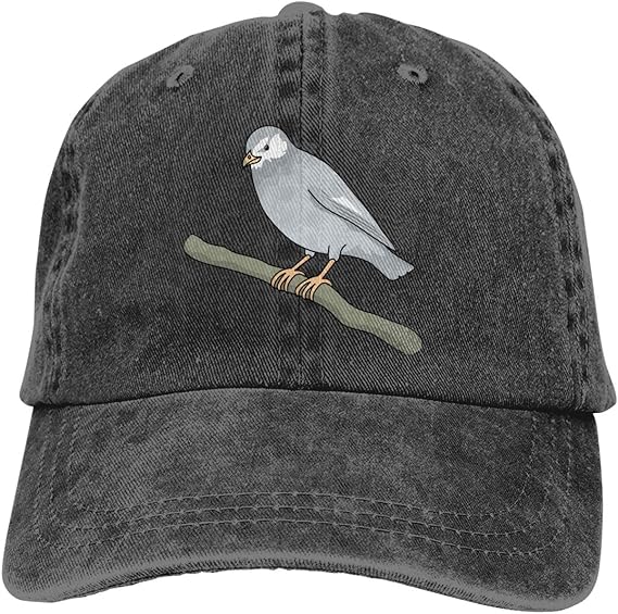 Amazon Co Jp デニム キャップ ベースボールキャップ 木の枝に止まる椋鳥 野球帽 水洗い カジュアル ゴルフ スポーツ ランニング おしゃれ 男女兼用 服 ファッション小物