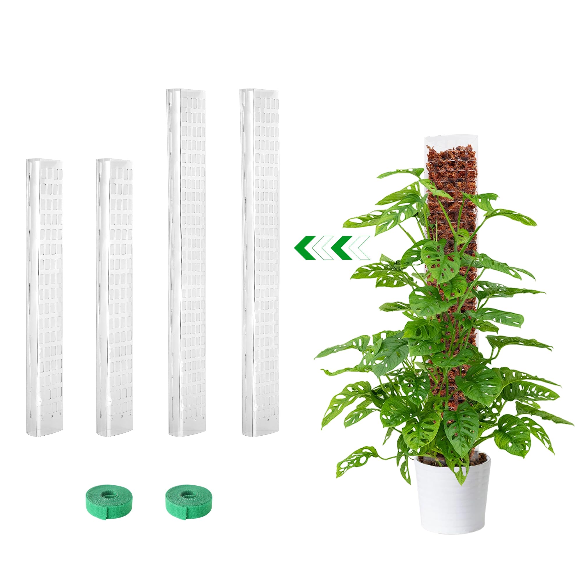Photo 1 of Bonviee 2 Pcs 15 Inch + 2 Pcs 24 Inch Plastic Moss Poles for Monstera – D-Shaped Plant Support for Climbing Vines, Compatible with Sphagnum Moss, Includes 2 Garden Ties