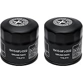 Oil Filter 15410-MFJ-D01/D02 2 Pack for Honda NC750X | Steel, replaces 15410-MFJ-D02/MCJ-000/MM5-003, fits Honda NC750X DCT ABS, for motorcycle/ATV/scooter
