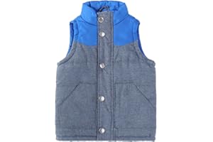 Bienzoe Boys Puffer Vest for Outdoor: Kids Toddler Sleeveless Lightweight Coat