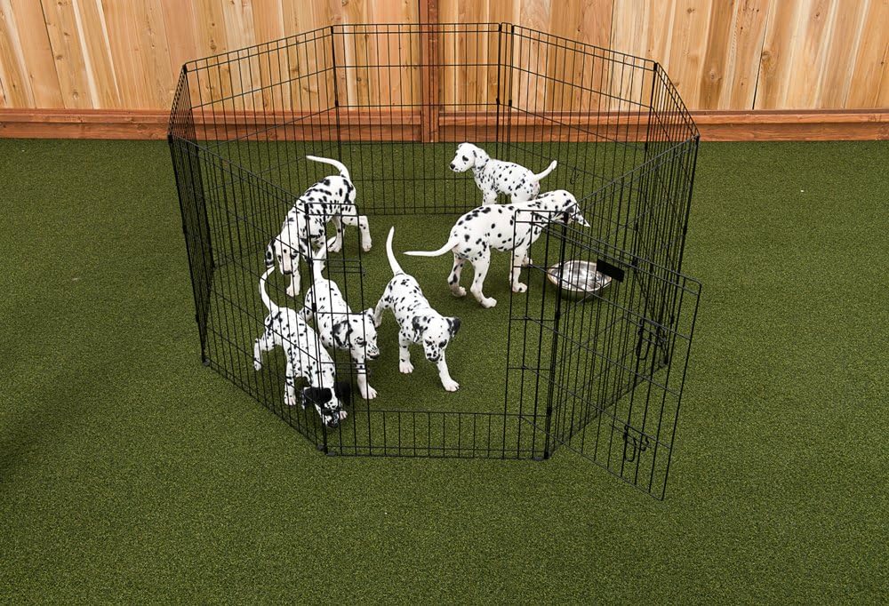 lucky dog exercise pen