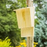 Sionhiuo Large Wooden Bat Box Nesting Shelter Outdoor Hanging House With view 4