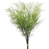 Briful 30" Artificial Boston Fern Plants Bushes Fake Shrubs Bush Greenery Plants Faux Fern Plant Large for Outdoors UV Resistant Garden Plants or Home Office Desk Indoor Decor 3pcs