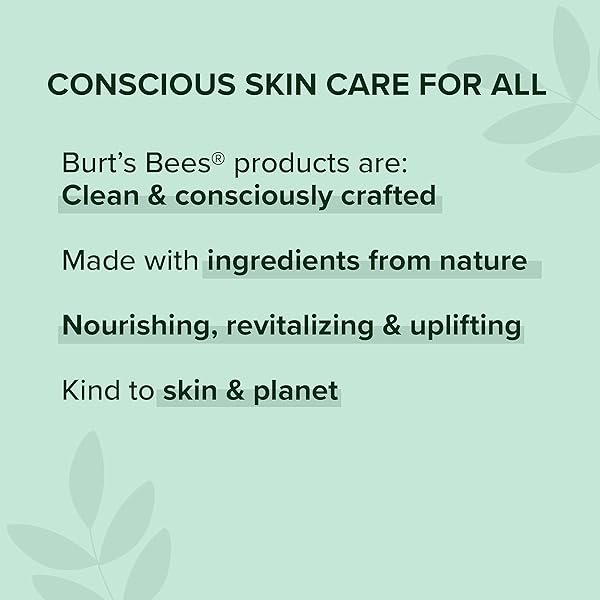 BURT’S BEES 100% NATURAL MATTIFYING POWDER FOUNDATION, BARE – 0.3 OUNCE