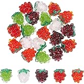 NBEADS 10 Pcs 5 Colors Handmade Lampwork Glass Grape and Fruit Beads for Jewelry