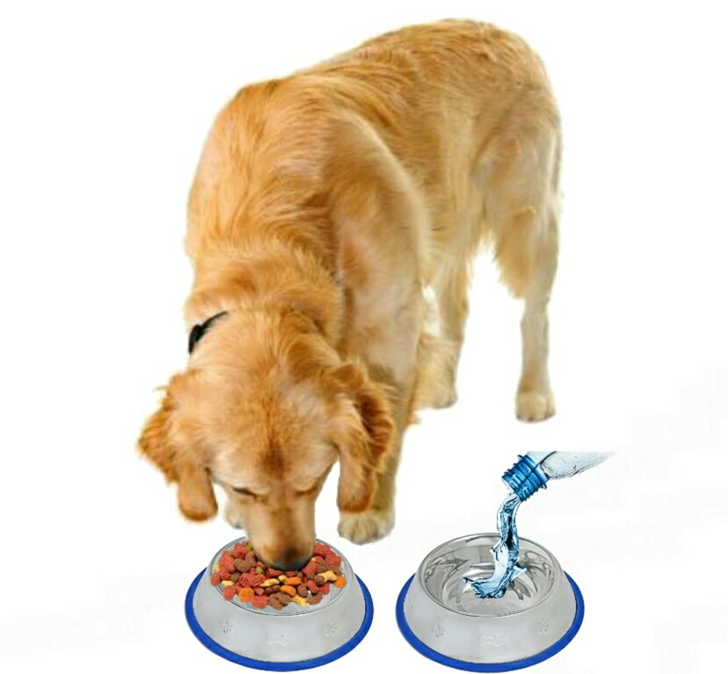 Bacteria & Rust Resistant Feeding Bowls for Dogs Mr Peanuts Set of 2