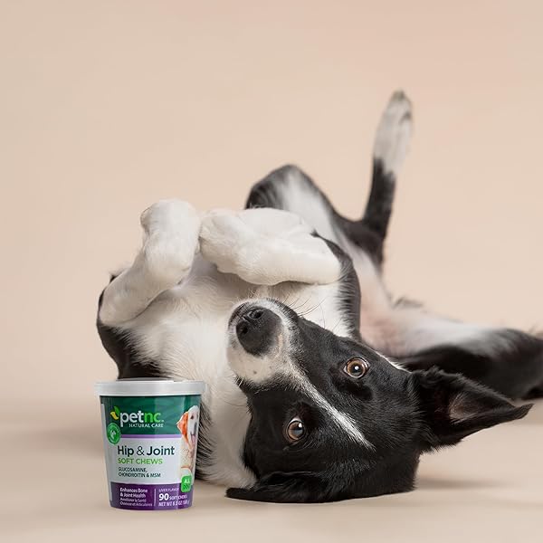 PETNC NATURAL CARE HIP & JOINT HEALTH SUPPLEMENT FOR DOGS (90 CHEWS), GLUCOSAMINE CHONDROITIN MSM DOG CHEWS WITH HYALURONIC ACID, LIVER FLAVORED BONE & JOINT SUPPORT SUPPLEMENT, FOR ALL BREEDS