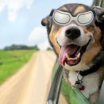 Amazon Moveski 18 Goggles 02 ペット犬サングラス 防風ゴーグル防曇犬小型中型犬用サングラス犬 シルバー Moveski サングラス 通販
