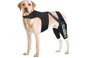 Pawfun Dog Knee Brace for Torn ACL Hind Leg, Adjustable Dog Leg Braces for Back Leg with 4 Metal Stabilizers Helps with Torn 