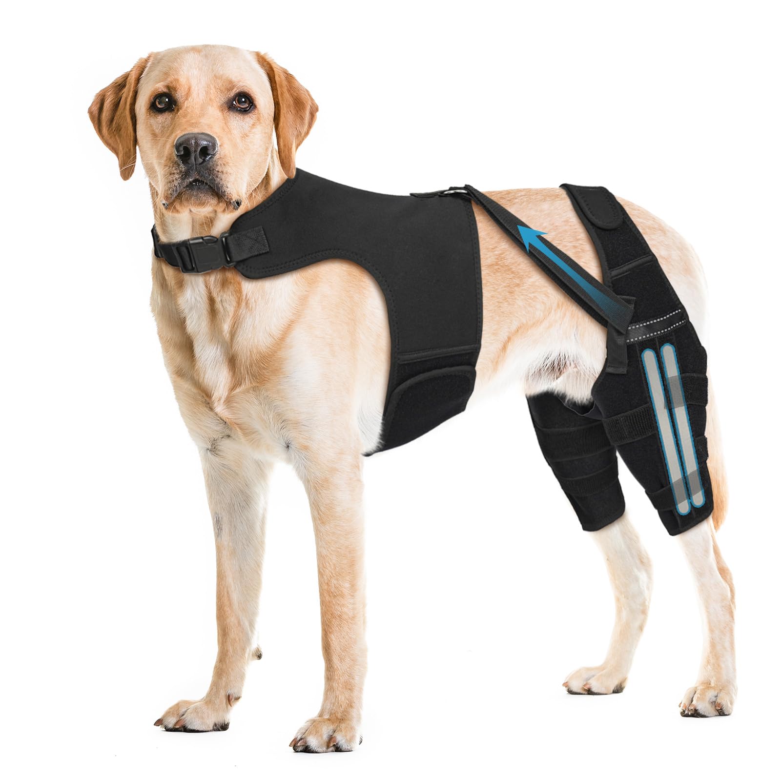 Photo 1 of Dog Knee Brace for Torn ACL Hind Leg, Adjustable Dog Leg Braces for Back Leg with 4 Metal Stabilizers Strong Joint Support to Reduce Pain from Luxating Patella, Ligament Injury, Hip Dysplasia XXL