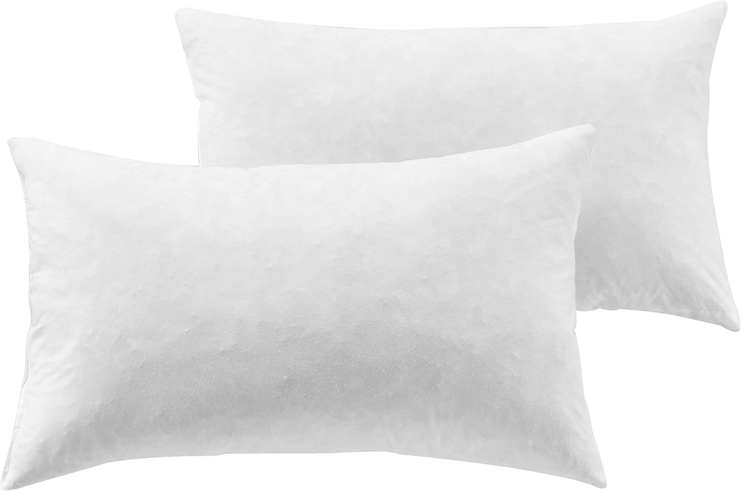 YesterdayHome Set of 218x18 Throw Pillow InsertsDown Feather Pillow