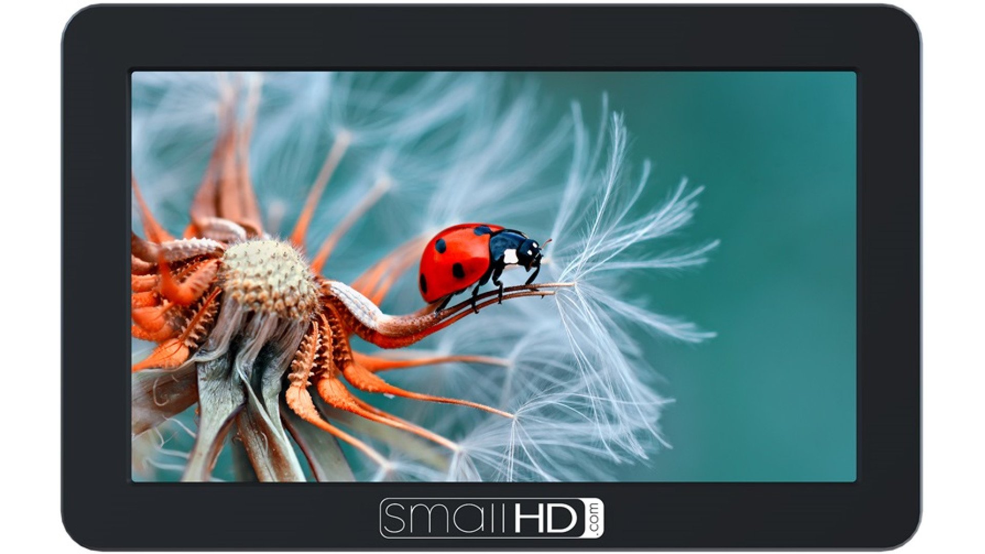 Expert Shield - THE Screen Protector for: SmallHD Focus (5.0") - Crystal Clear