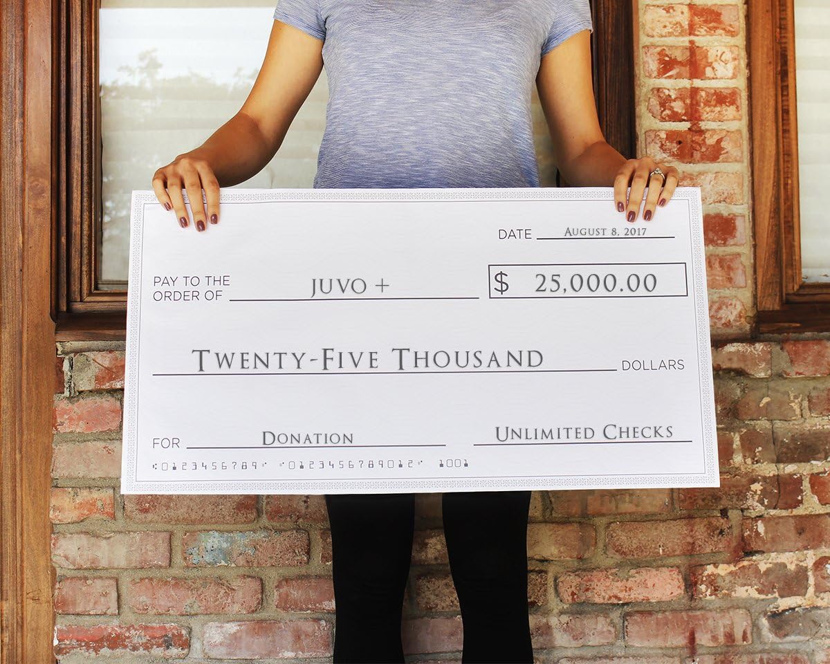 Blue Panda Giant Checks - 5-Count Paper Giant Fake Novelty Checks, Large Presentation Checks for Endowment Award, Donations, and Fundraisers, Each Big Check Measures 30 x 16 Inches : Office Products