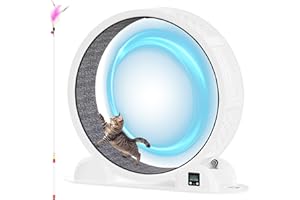 LotFun 41” Cat Exercise Wheel with Pedometer, Running Wheel for Indoor Cats, 10 Minutes Fast and Easy Installation, Cat Treadmill for Cat's Fitness & Health, Suitable for Most Cats(White)