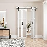 Paintable Bifold Barn Door, Fingerprint-Resistant 3