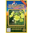 thumbnail image 2 of 400 Missouri Evening Primrose Wildflower Seeds - Everwilde Farms Mylar Packet 2 of 11
