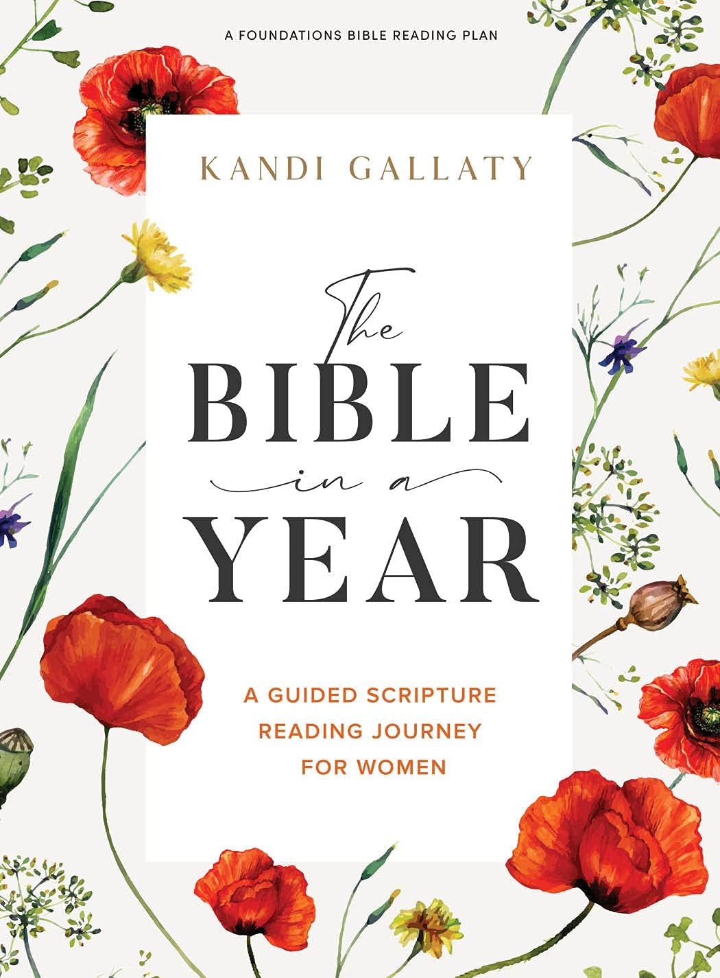 Worship & Devotion - The Bible in a Year - Bible Study Book: A Guided Scripture Reading Journey for Women