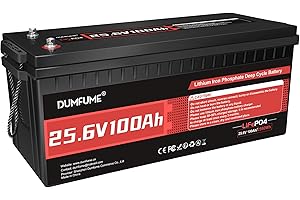 Dumfume 24V 100Ah LiFePO4 Lithium Battery, Built-in 100A BMS, 2560W Power Output, Up to 15000 Cycles, Ideal for RV, and Solar Off-Grid Systems