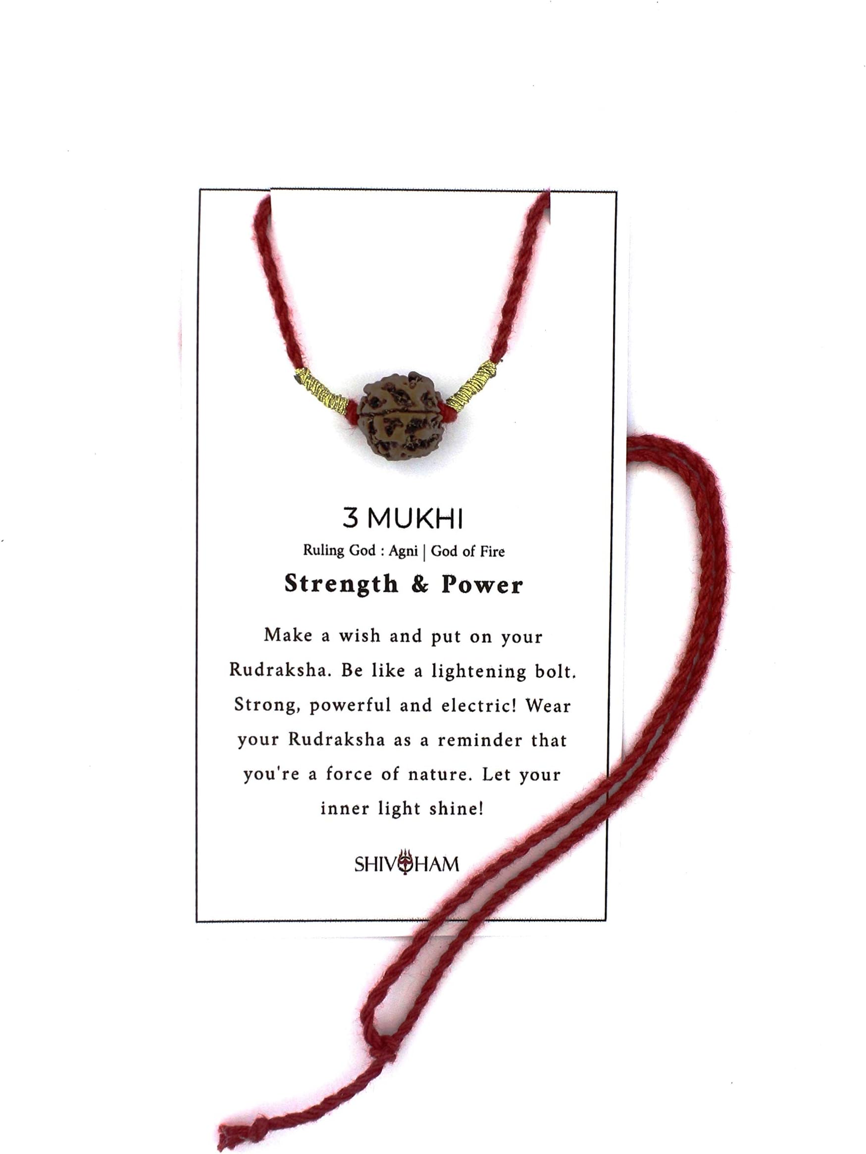 Shivoham 3 Mukhi Rudraksha Rudraksha (Brown)