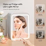 eklipt Mini Fridge 4L Dimmable LED Mirror AC/DC Portable Beauty Fridge view 4