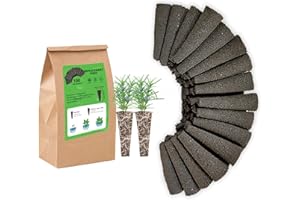 EVERECOO Grow Sponges, Starter Pods Compatible with Aero Garden,Refill Pods for Hydroponic Growing System (100pcs)