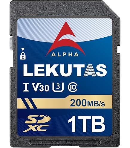 Amazon.com: LEKUTAS 1T(999GB) SDXC UHS-I Memory Card - Up to 200MB