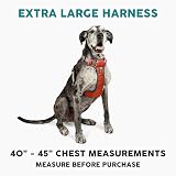 Embark Pets Adventure Dog Harness XL Orange Front Back Leash Attachments view 2