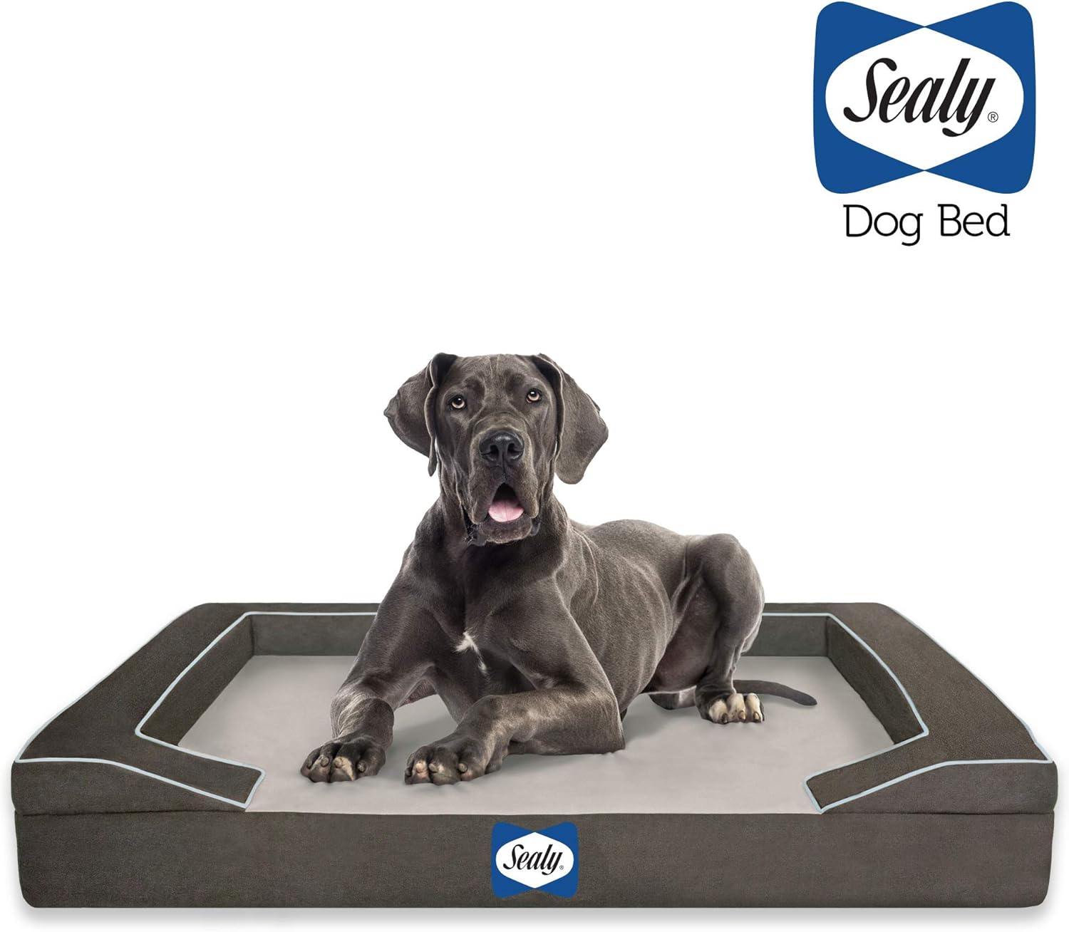 Sealy Dog Bed for Dogs, Modern Gray, XLarge Amazon.ca Pet Supplies