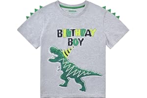 WAWSAM Dinosaur Big Brother Shirt Promoted to Big Brother T-Shirt Sibling Outfits for Toddler Boys