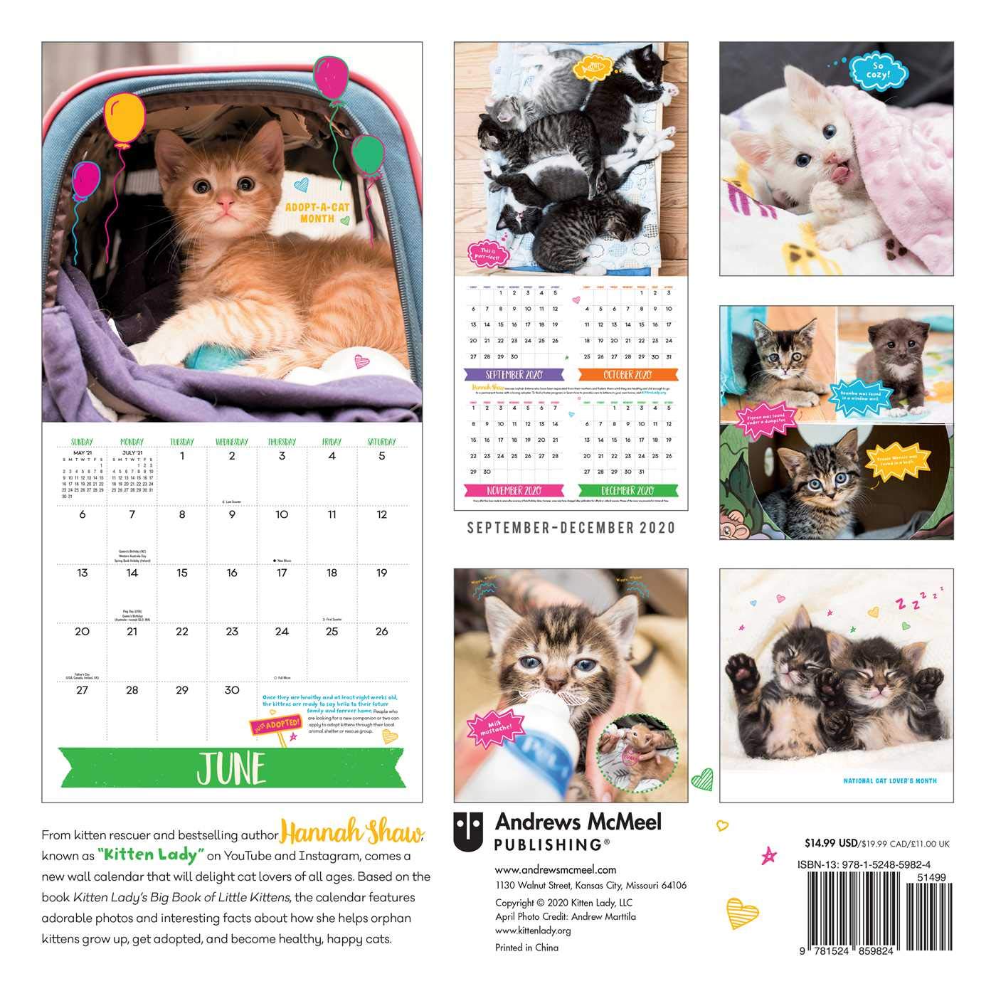 Buy Kitten Lady S Big Year Of Little Kittens 2021 Wall Calendar Book Online At Low Prices In India Kitten Lady S Big Year Of Little Kittens 2021 Wall Calendar Reviews Ratings Amazon In Buy Kitten Lady S Big Year Of Little Kittens 2021 Wall Calendar Book Online At Low Prices In India Kitten Lady S Big Year Of Little Kittens 2021 Wall Calendar Reviews Ratings Amazon In