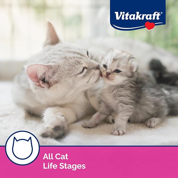 VITAKRAFT LICK ‘N’ LAP REAL CHICKEN SQUEEZEABLE LIQUID CAT TREATS, LICKABLE, CHICKEN BROTH #1 INGREDIENT, NO ARTIFICIAL COLORS, PRESERVATIVES OR ADDED SUGAR, FOR HYDRATION, 0.52 OZ. TUBES, 16 COUNT