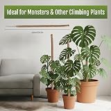 Mcbazel Moss Pole 2 Pack 100cm Bendable Coir Plant Support with Ties & Tape view 4