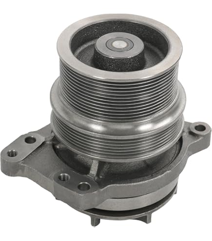 むっく s-l1200.jpg
