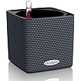 Lechuza 13384 Cube Color 14 Self-Watering Planter for Indoor and Outdoor Use, 6" x 6" x5", Slate