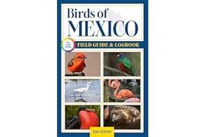 Birds of Mexico Field Guide and Logbook: An Essential Birdwatching Guide with Identification Tips for 60 Common Bird Species 