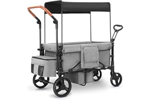 SAFETY CAREYA Wagon Stroller for 2 Kids, 3 in 1 Push and Pull Foldable Wagon with Footwell, All-Terrian Wheels, Includes Adjustable Canopy, Ample Organizer, 5 Point Harness