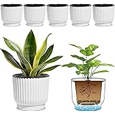 T4U 6 Inch Self Watering Pots for Indoor Plants, 6 Pack Plant Pots, Self Watering Planter for Indoor Plants, Durable Plastic Pots, Flower, Succulents (6 Pack, 6", White)