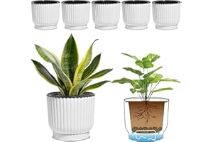 T4U 6 Inch Self Watering Pots for Indoor Plants, 6 Pack Plant Pots, Self Watering Planter for Indoor Plants, Durable Plastic Pots, Flower, Succulents (6 Pack, 6", White)