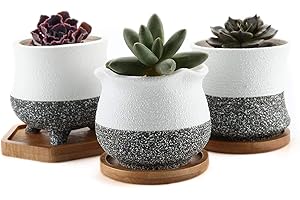 T4U 3.5 Inch Korean Style Ceramic Succulent Pots Flower Cactus Planter with Bamboo Tray Pack of 3