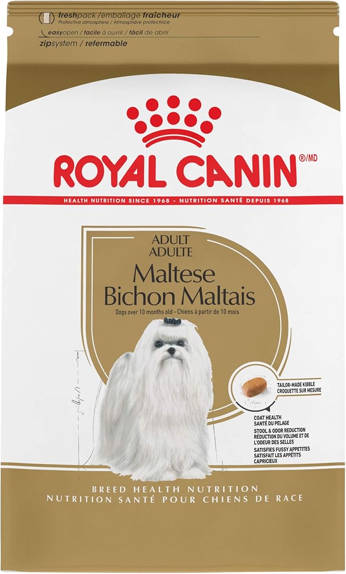 best dog food for maltese 2019