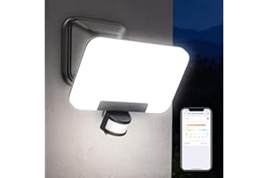 OREiN Smart Flood Lights Outdoor 2700K-6500K CCT Dusk to Dawn LED Security Lights with APP Control, 24W=200W. 1%-100% Brightness, IP65 Waterproof Bluetooth Conncected Floodlight, 1 Pack (Hardwired)