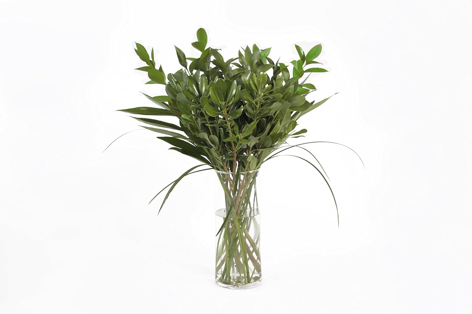 Fresh Cut Assorted Greenery 120 Stems "2024" long Fillers to Make Floral