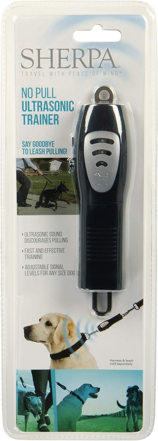 dog training leash pulling