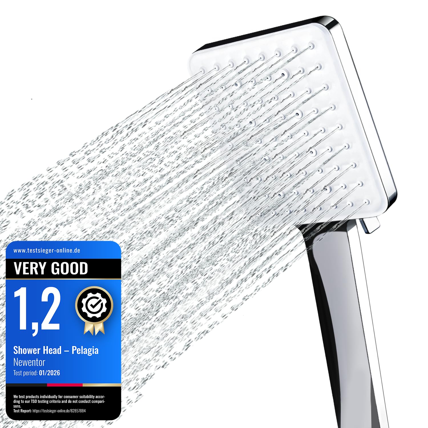 Newentor Shower Head [TESTSIEGER], High Pressure Shower Heads with 6 Modes, Universal Water Saving Large Showerhead, Silver