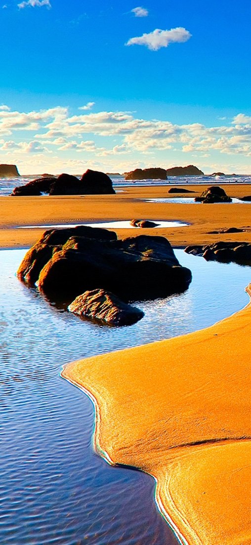 PeelitStickit, Beautiful Nature Wall Murals, ID-1473, vinyl