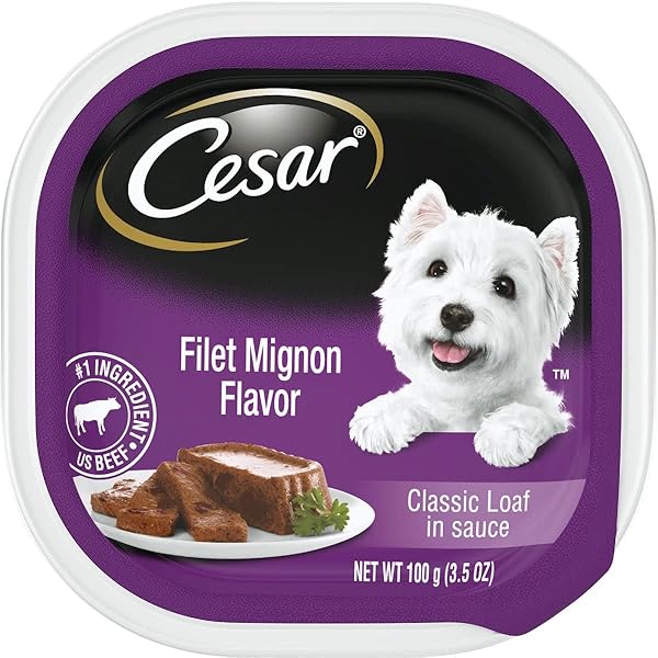 CESAR 10179854 SELECT DOG FOOD, FILET MIGNON – QUANTITY 24