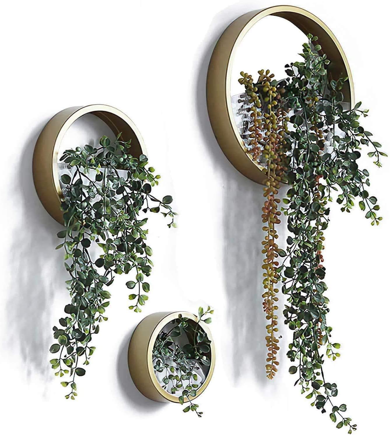 Ecosides 8" Gold Round Metal Glass Wall Vases,Wall Mounted Planters Air Plants Holder Artificial Succulent Cactus Flower Pots Vertical Container Terrarium Modern Wall Decor for Home Bar,Hotel - Image 3