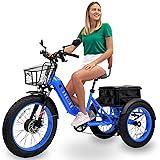 3SCORE 1500W Peak Rear Drive Motor Electric Trike